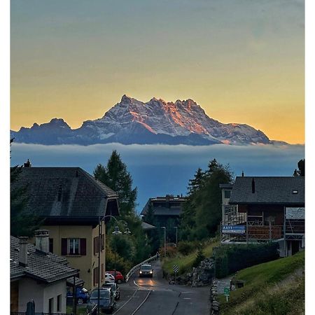 Chalet Serpolet - Appartement Leysin Extérieur photo