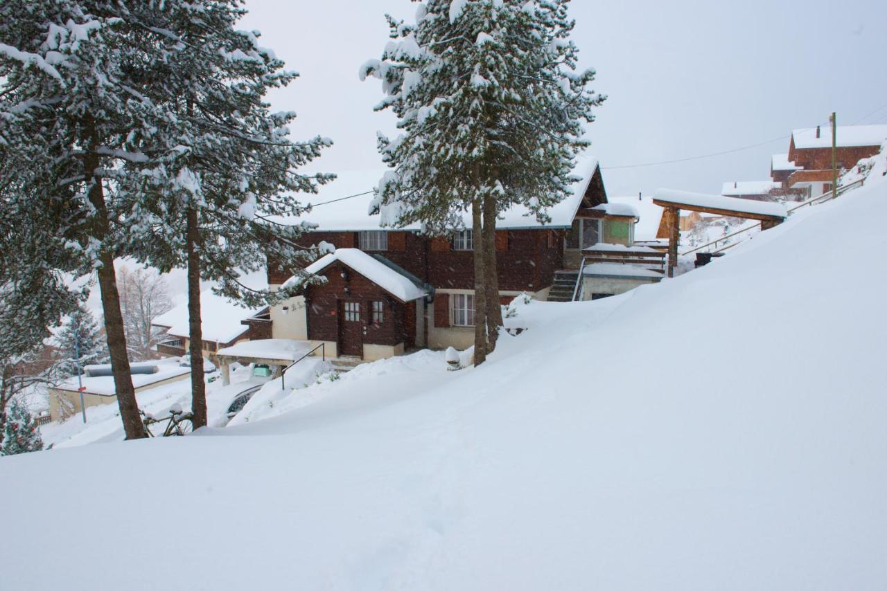Chalet Serpolet - Appartement Leysin Extérieur photo