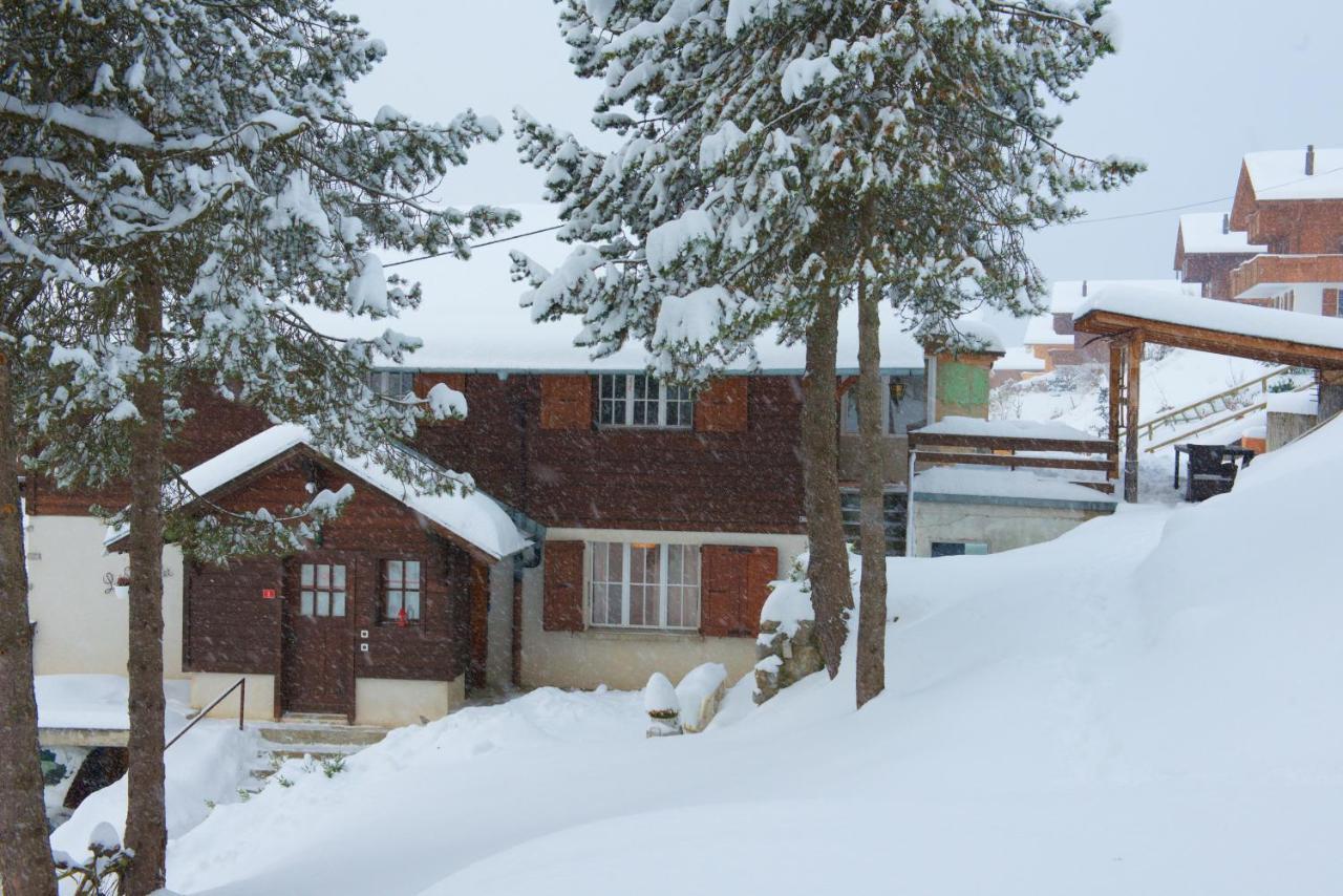 Chalet Serpolet - Appartement Leysin Extérieur photo
